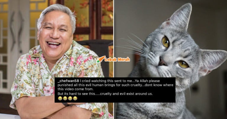 Apa Benda Ni Netizen Terkejut Chef Wan Post Video Kucing Kena