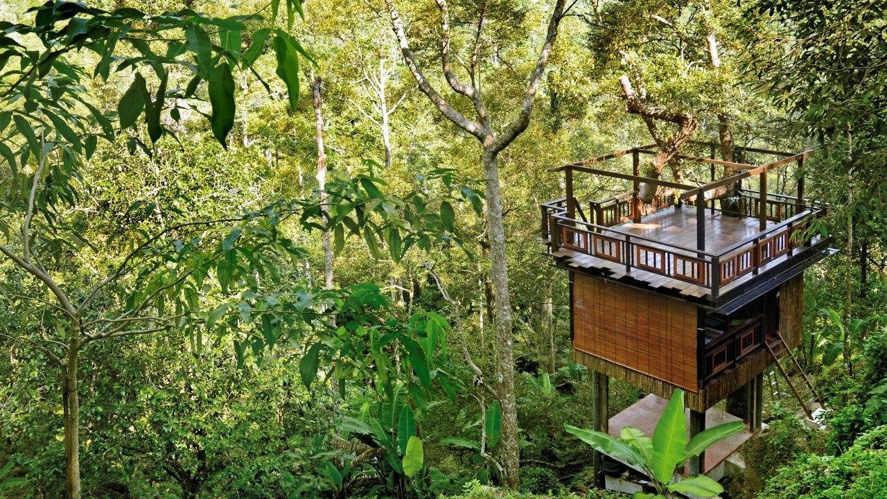 9 Tree House di Malaysia Ini Akan Beri Anda Pengalaman ...