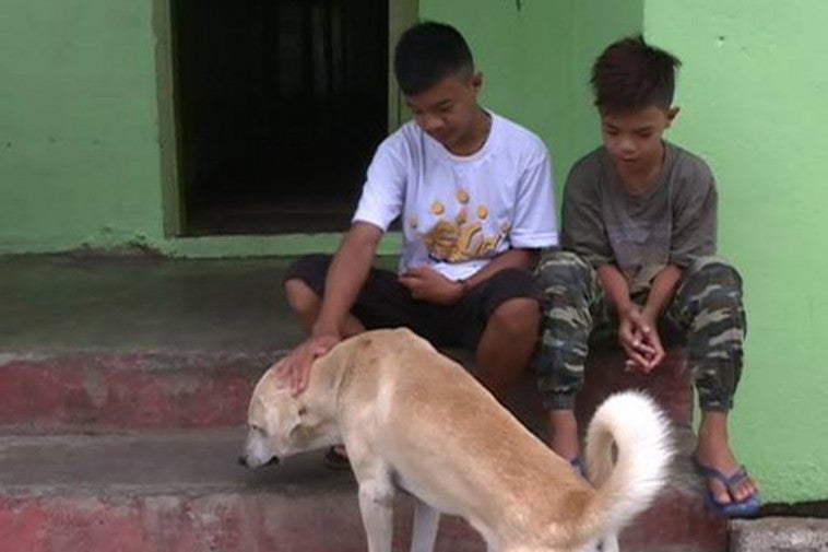 Anjing Menyalak Dan Cakar Pintu Rumah Untuk Selamatkan Dua Beradik