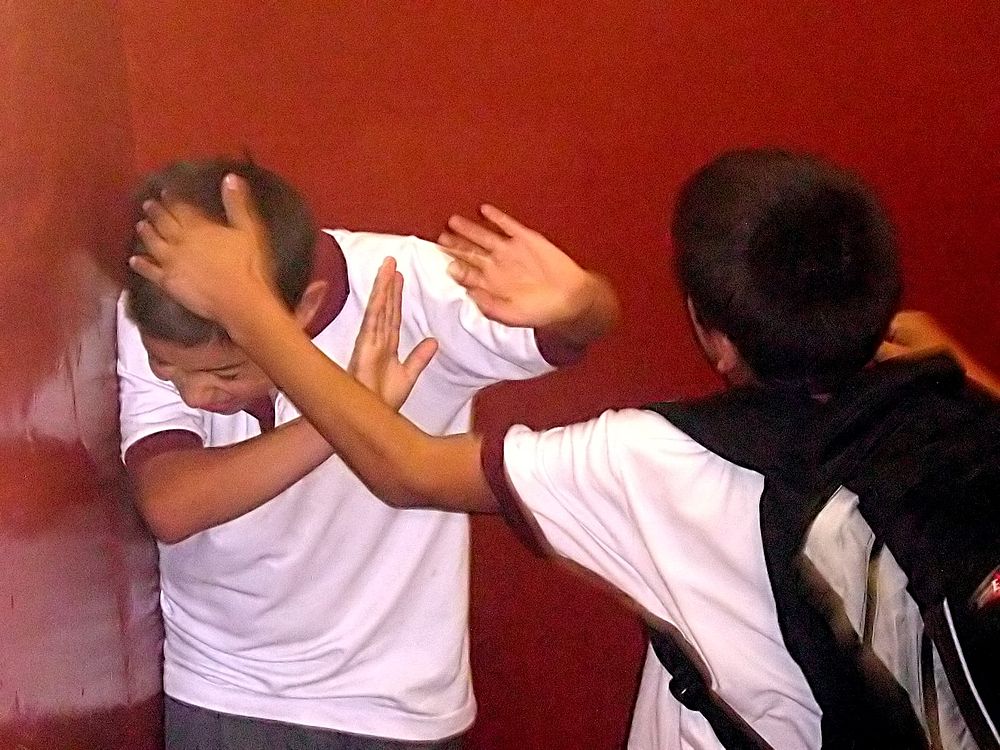 Bullying On Instituto Regional Federico Errázuriz Irfe In March 5 2007