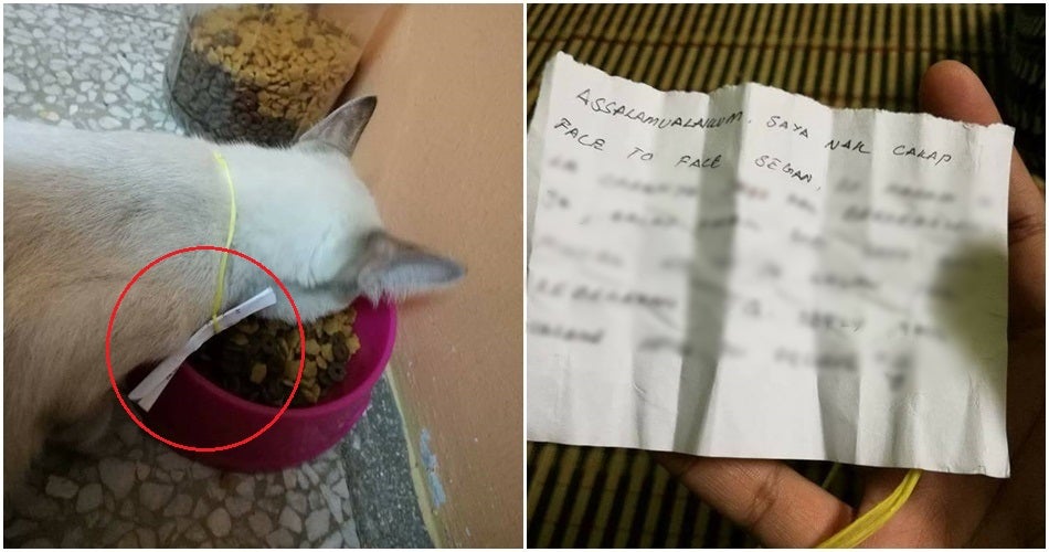 Cara Pakai Tali Leher Kucing Entry ini pun ringkas sahaja!