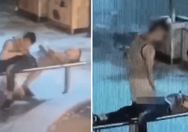 Thief Gives Handsome Unconscious Man Blowjob And Handjob Before Robbing Him World Of Buzz 4