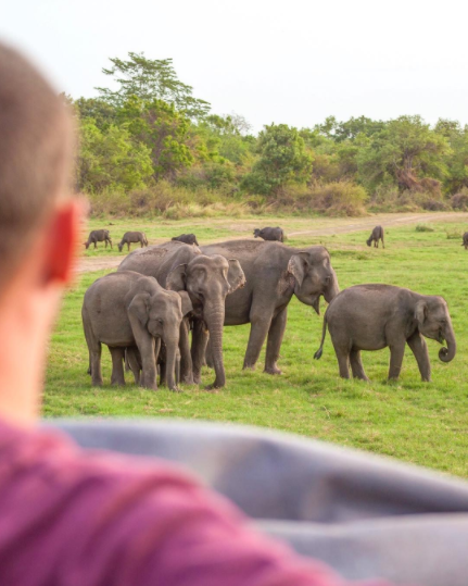 sri lanka 4