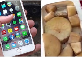 potato