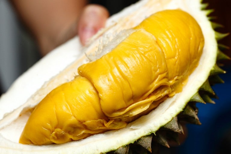 Durian3