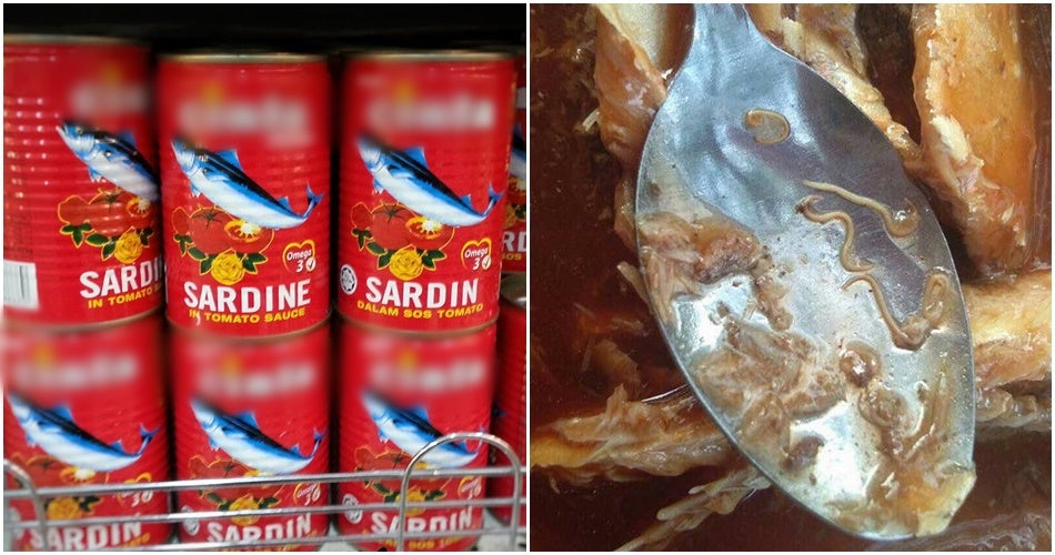 Hati Hati 6 Jenama Sardin Ini Disahkan Ada Cacing Lobak Merah Hati Hati 6 Jenama Sardin Ini Disahkan Ada Cacing Lobak Merah