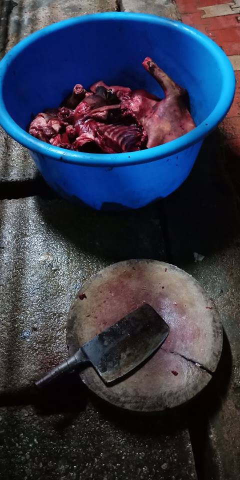 Foreign Workers Use Utensils From Roast Meat Shop To Kill And Cook Dog Meat In Cheras World Of Buzz 3