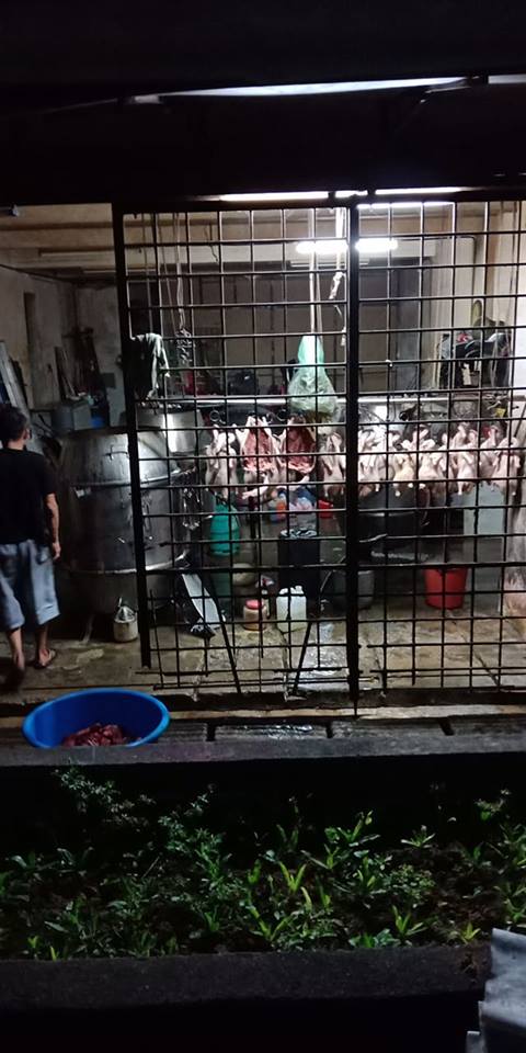 foreign workers use utensils from roast meat shop to kill and cook dog meat in cheras world of buzz 4