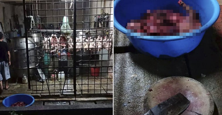 Foreign Workers Use Utensils From Roast Meat Shop To Kill And Cook Dog Meat In Cheras World Of Buzz 5