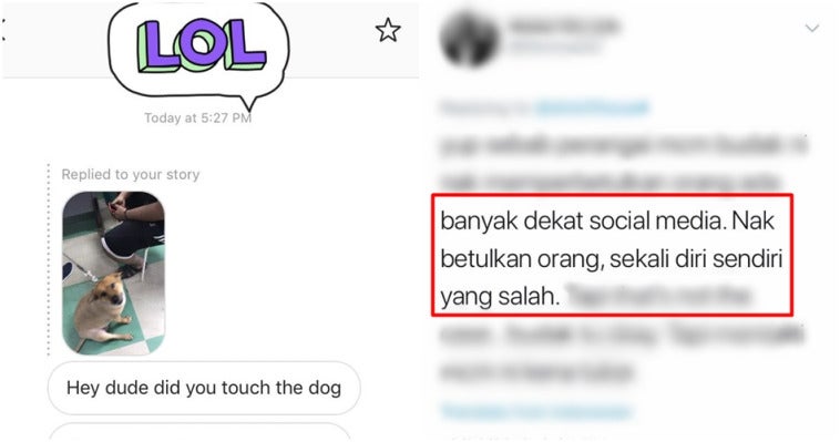 page anjing