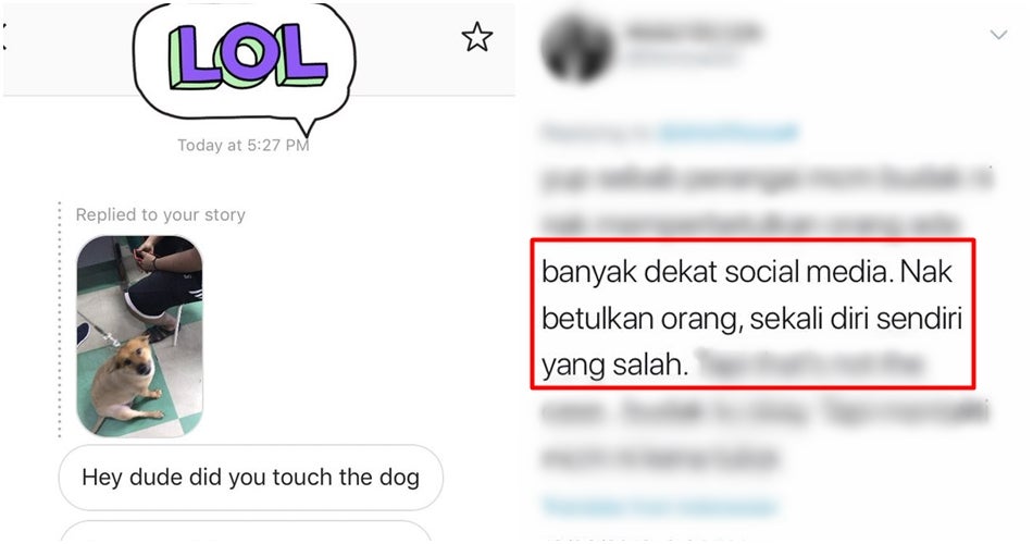 Page Anjing