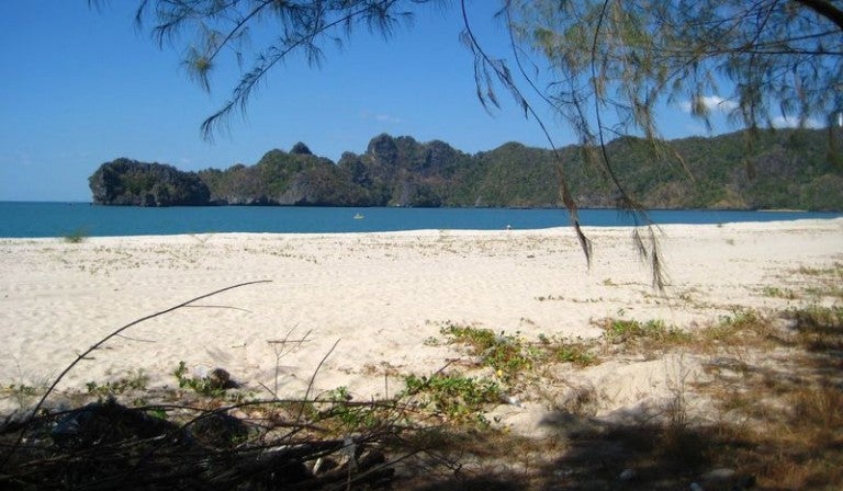 Tourist Died After Getting Stung By Jelly Fish In Pulau Langkawi World Of Buzz 2