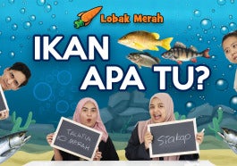 Ikan 3
