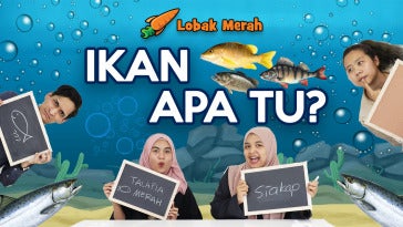 Ikan 3