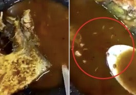 Live Maggots Found In Asam Pedas Dish Famous Melaka Restaurant Ordered To Shut Down World Of Buzz 1