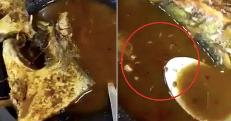 live maggots found in asam pedas dish famous melaka restaurant ordered to shut down world of buzz 1