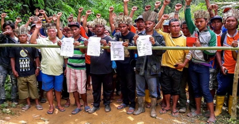 watch orang asli blockade in gua musang destroyed by durian company world of buzz