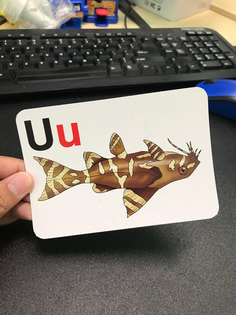 42622411 10217355604069264 5324913785159286784 o