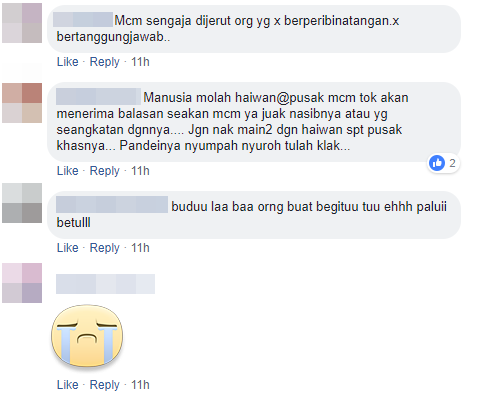 Komen Pusak