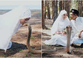 pengantin cobra