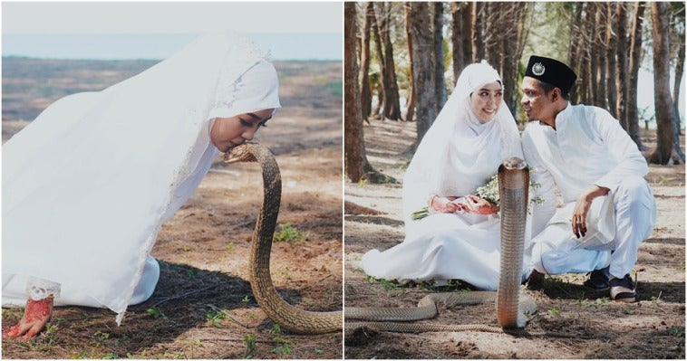 Pengantin Cobra