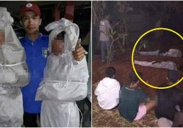 pocong kantoi
