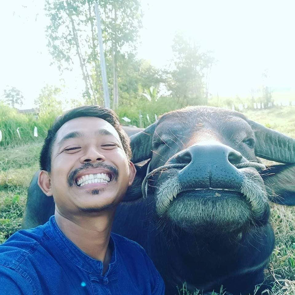 Kerbau Selfie 1