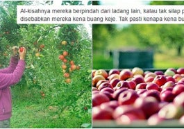 Petik Buah