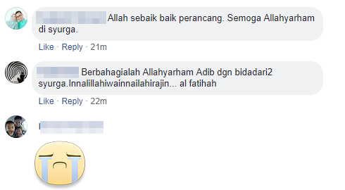 Berbahagialah Adib Dgn Bidadari Syurga