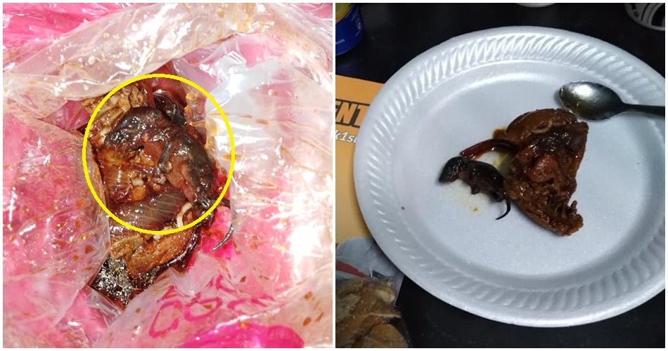 Anak Tikus Masak Kicap