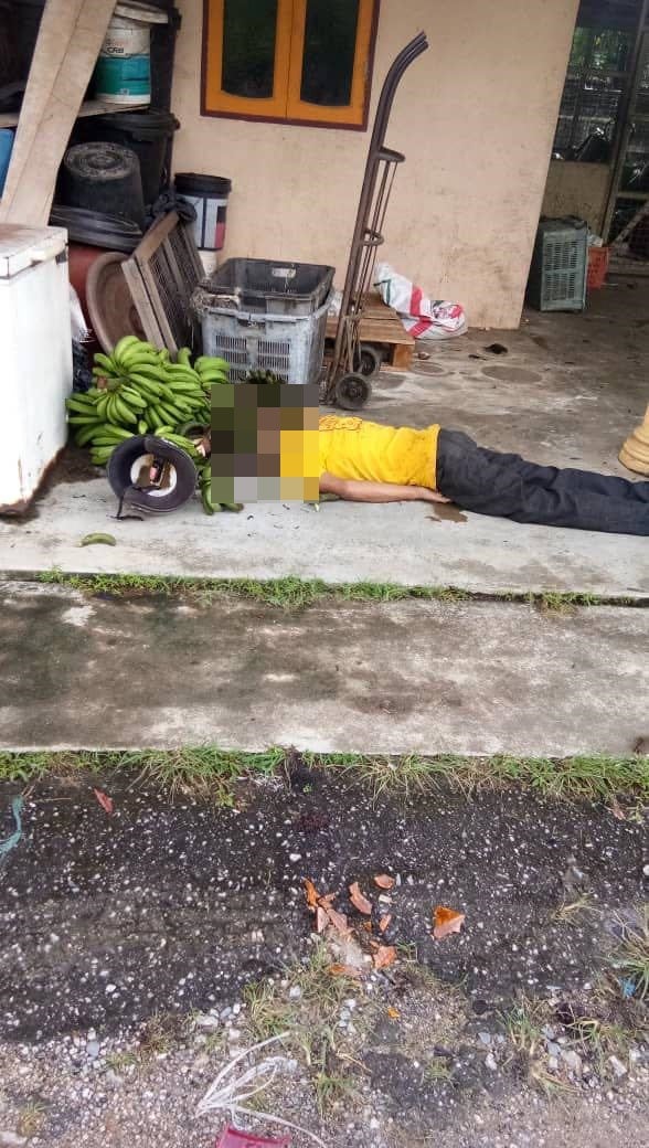 curi pisang 5