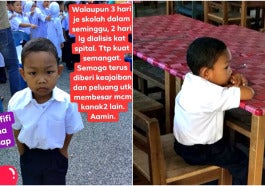 hazim hafifi