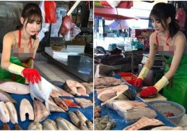 Jual Ikan Cantik Wei