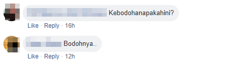 Kebodohan Apakah Ini