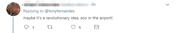 ZOO IN THE AIRPORT