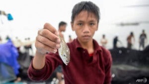 Reymark Cavesirano Helps Fishermen By Removing Fish Stuck In Their Nets Which He Keeps As Payment And Sells To Buy Food And Medicine For His Family 1553075920564 4