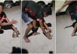 sepakkucing14 1