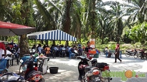 Warung Kelapa Sawit4