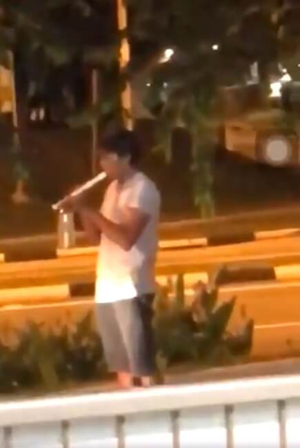 bizarre fight sees man playing recorder in front of police while another man wields potted plant world of buzz 3