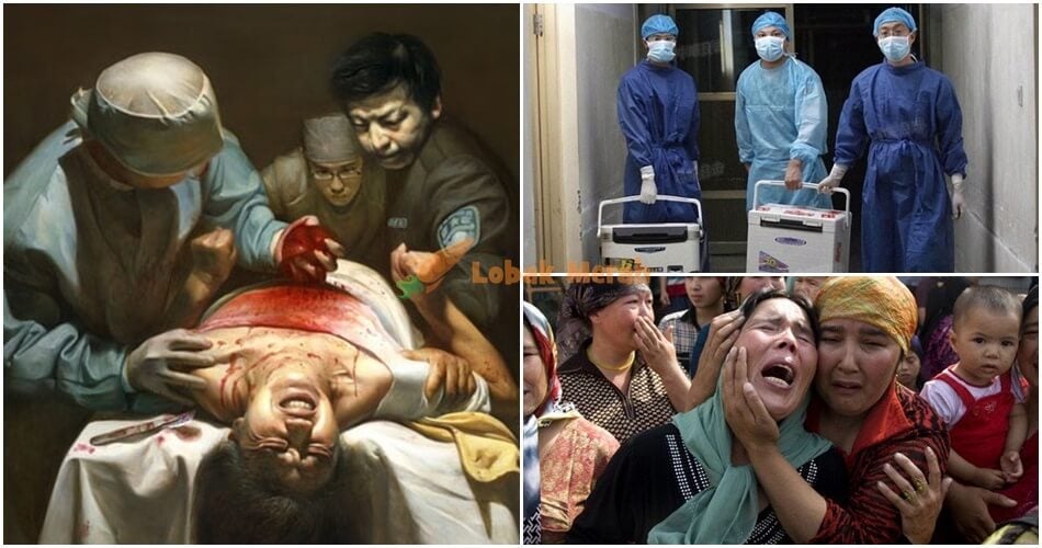 Organ Harvesting China