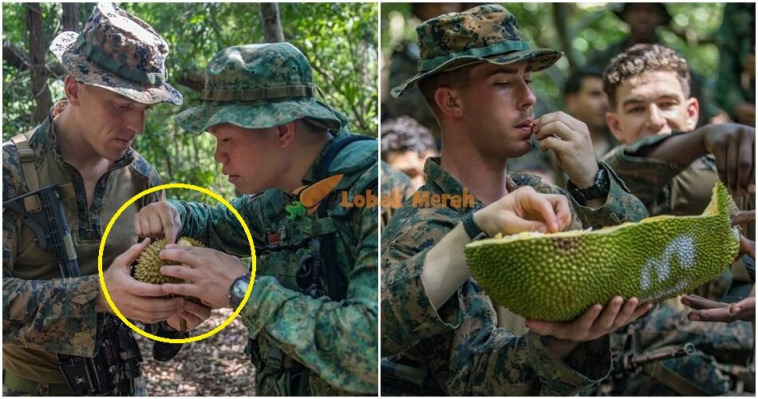 Tentera Makan Durian