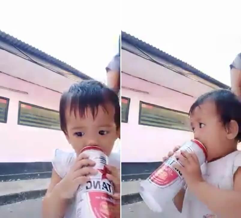 budak minum beer