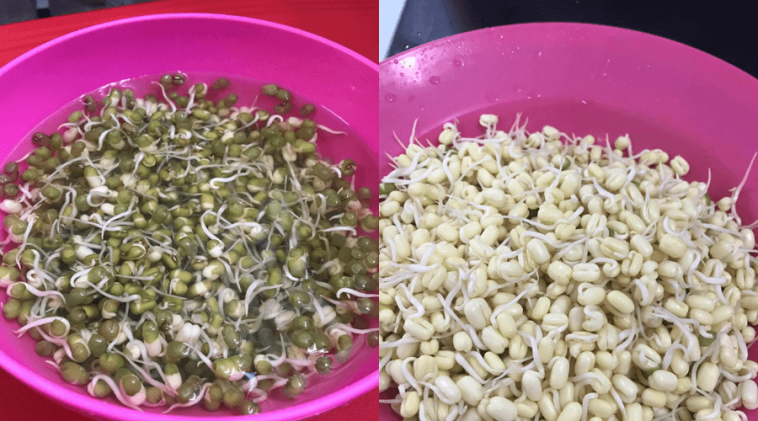 Resepi Bubur Kacang Hijau Goreng - Mewarnai x