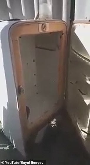 14697484 7133189 David 6 and Nikita 4 died after elder brother David hid in an ol a 48 1560351507869