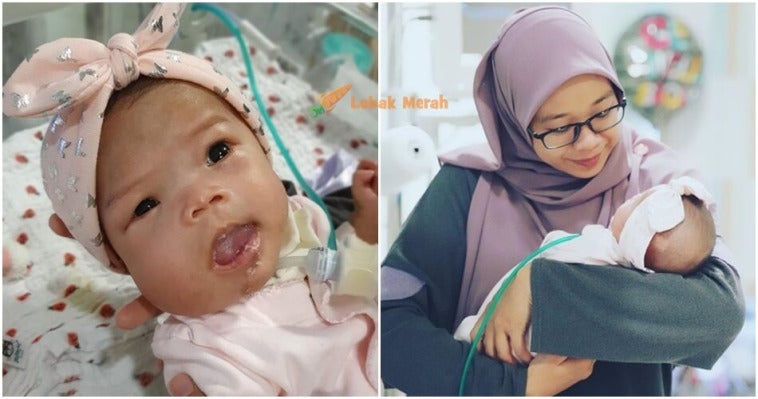 adik ainul