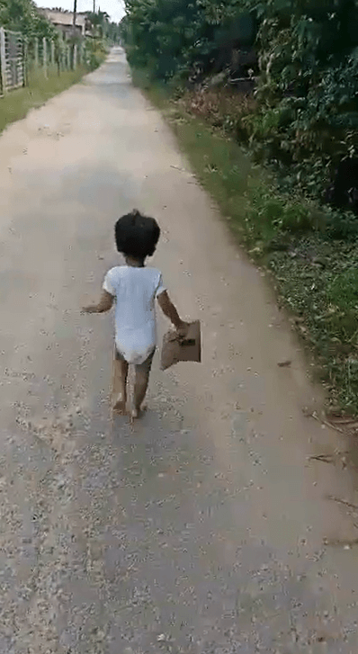 budak2