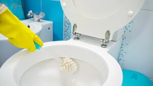 Cleaning Toilet Tease Today 160818 8Fdb7Cd9067A4482122C3E229A13C4E2