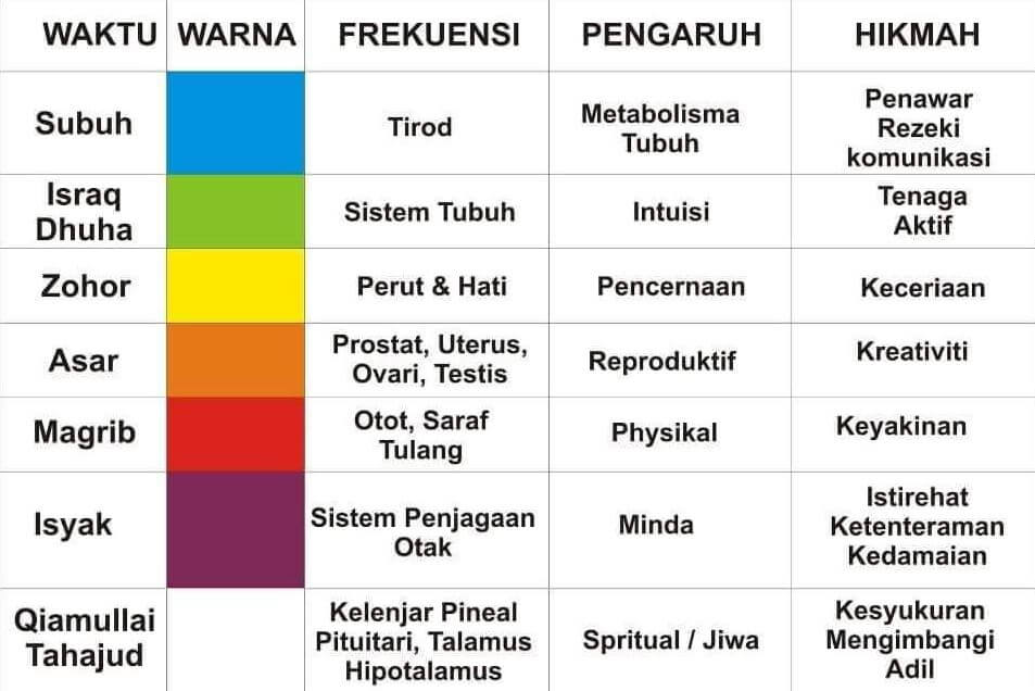 tubuhbadanwarnaalam