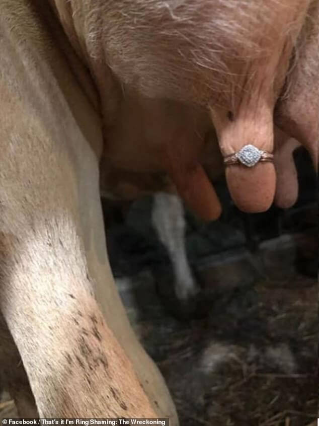 16904730 7322407 A Facebook group dedicated to ring shaming was confused disguste a 106 1565005713544