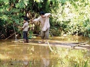 33 suku tsimane bolivia amerika selatandokdailymail